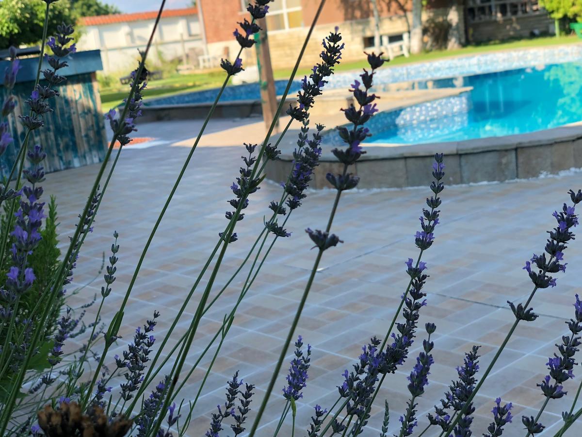 Galeria In The Garden Otel Filibe Dış mekan fotoğraf